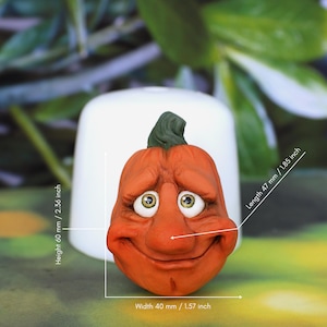 3D Halloween Mold, Pumpkin Face Silicone Mold, Cute Pumpkin Mold, Character Face Mold, Fairy Character Sculpting Tool No. 271