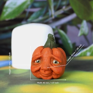 Pumpkin Face Silicone Mold, 3D Halloween Fantasy Mold, Cute Pumpkin Mold, Whimsical Face Mold, Fairy Tale Sculpting Tool No. 270