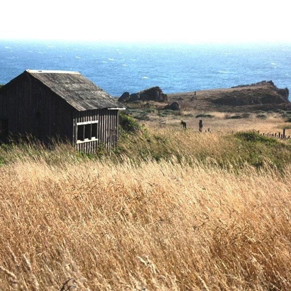 The Sea Ranch  4 - Sea Ranch, Ca   8 x 10 Photo Print