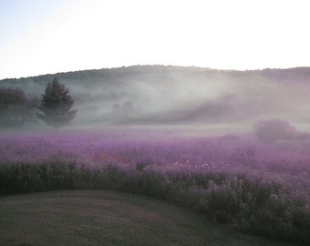 Purple Fields / Catskills / New York/ 16 X 20" Photo Mounted onto Gallery Wrapped Canvas/Affordable Home Decor/ Interior Design