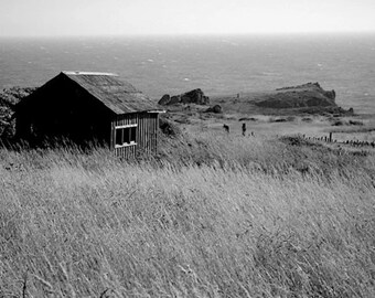 Sea Ranch Photo Print: Northern California Coastal Landscape (36” x 48”)