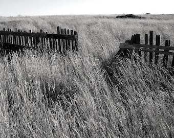 The Sea Ranch  - northern California - 16x20” Gallery Wrapped Canvas/photograph/black and white/ home decor/fences/Pacific Ocean/wall decor