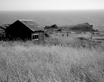 Photo Canvas Art / The Sea Ranch  Photograph Printed on to 1 1/2" Gallery Wrapped Canvas - Home Decor