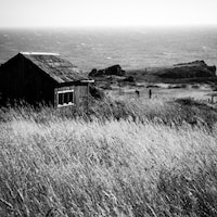Sea Ranch Art Print - Etsy