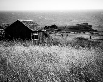 The Sea Ranch  - northern California - 16x20 fine art photograph - black and white