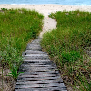 The Path/ The Hamptons - Westhampton, New York /  Color Photography/  Photo Print/ Affordable Home Decor/ Fine Art Photography/ Summer Decor