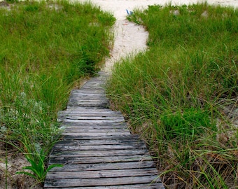 The Path/ The Hamptons - Westhampton, New York /  Color Photography/  Photo Print/ Affordable Home Decor/ Fine Art Photography/ Summer Decor