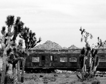 Old Train - Pioneertown, CA 16 x 20  Photo Print