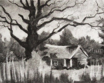 Charcoal Drawing "Homestead" by Daisy Adams - original drawing - black and white - 4x6 - house - north carolina - old house - farm - trees