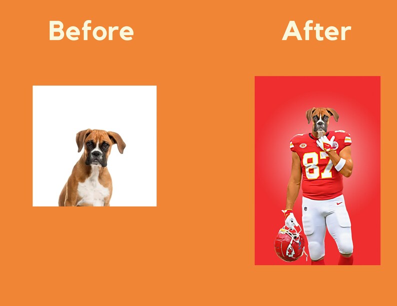May include: A digital artwork depicts a boxer dog's head on a football player's body. The player is in a red and white uniform, number 87. The image is set against a red backdrop, with the words "Before" and "After" displayed.