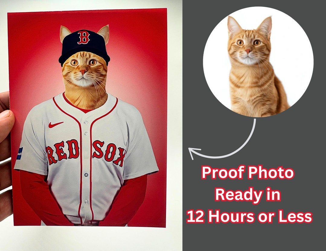 Custom Boston Red Sox Pet Portrait Boston Red Sox Portrait Cat Portrait ...