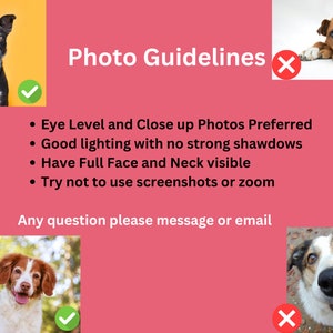 May include: A pink graphic with the text "Photo Guidelines" and bullet points outlining photo specifications. Features images of dogs with tick and cross symbols, demonstrating good and bad photo examples.