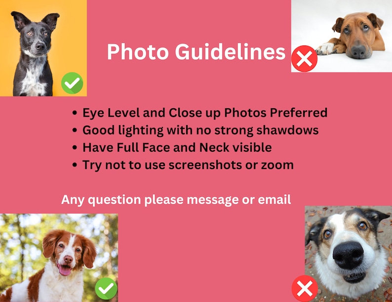 May include: A pink graphic with the text "Photo Guidelines" and bullet points outlining photo specifications. Features images of dogs with tick and cross symbols, demonstrating good and bad photo examples.