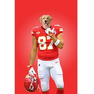 May include: A digital illustration of a Golden Retriever wearing a red and white American football uniform with the number 87. The dog is holding a red helmet against a red background.