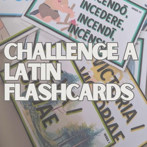 LATIN FLASHCARDS - CHALLENGE A - Full year (weeks 1-30) - Henle Latin flashcards (with colored graphics) - Fun, Easy to memorize