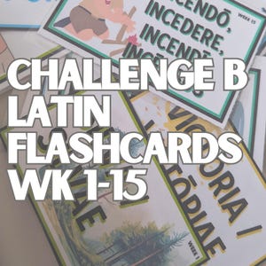 LATIN FLASHCARDS - CHALLENGE B - 1st Semester (weeks 1-15) - Henle Latin flashcards (with colored graphics) - Fun, Easy to memorize