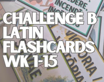LATINA FLASHCARDS - UTMANING B - Termin 1 (veckor 1-15) - Henle Latin flashcards (med färgad grafik) - Roliga, lätta att memorera