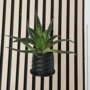 Lot De 3 Crochets Acoustiques Pour Panneaux Muraux, Sans