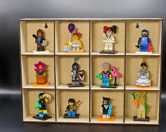 Handmade Wooden Display Shelf with 12 Compartments