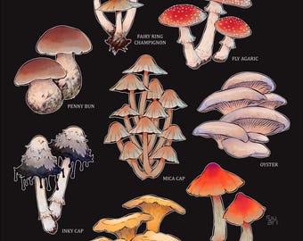 Mushroom Art Print