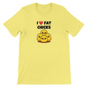 I Love Fat Chicks Shirt – Plus Size Tee | BBW Tee | Fat Admirers | Body Positive Curvy Girl T-Shirt | Fat Appreciation Clothing
