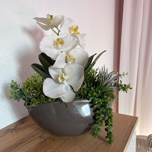 Könnte beinhalten: Graue Keramikschale mit weißen Orchideen, grünem Laub und hängenden Sukkulenten. Das Arrangement steht auf einer Holzoberfläche und erzeugt eine natürliche und elegante Präsentation. Die Orchideen haben gelbe Zentren.