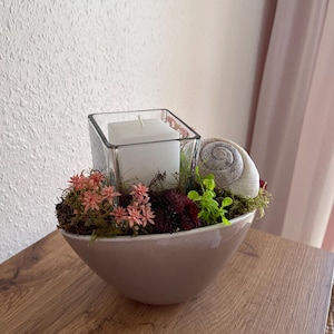 Op de afbeelding: Een decoratief middelpunt in een lichtroze kom. Het heeft een vierkante glazen kandelaar met een witte kaars, omringd door mos, kleine roze bloemen en een slakkenhuis. De opstelling staat op een houten oppervlak.