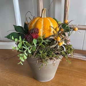 Può includere: Una composizione decorativa in un vaso conico grigio opaco con una piccola zucca a strisce arancioni e bianche, fogliame verde, capolini rosso scuro, bacche gialle e muschio verde. La composizione è arricchita da sottili rametti marroni.