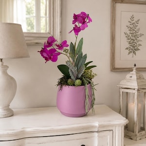 Könnte beinhalten: Ein leuchtend magentafarbenes Orchideenarrangement mit mehreren blühenden Blüten und grünen Blattstielen. Die Pflanze befindet sich in einem glatten, abgerundeten, matten lavendel-rosa Keramiktopf, der auf einer flachen Basis steht und Moos enthält.