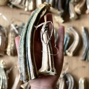 REAL dried pumpkin stems for velvet pumpkins, fall crafts, fall decor, craft supplies