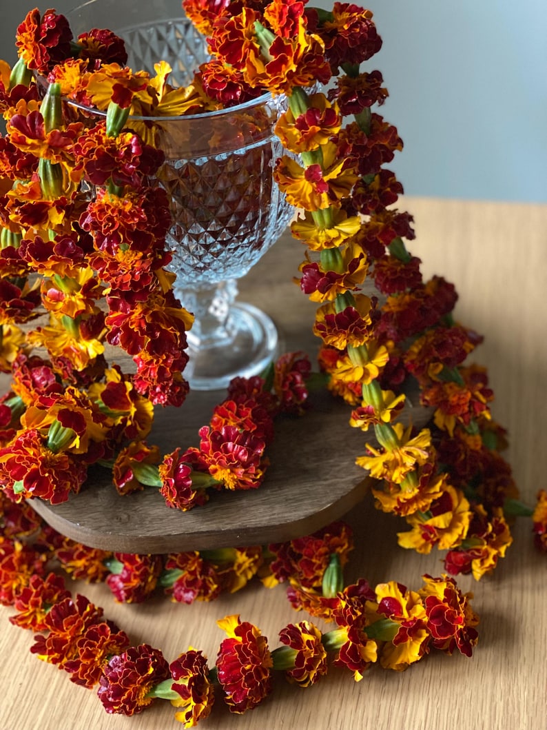 May include: A long garland of vibrant marigold flowers in shades of deep red and bright orange, draped around a clear, faceted glass goblet. The flower chain features dense, ruffled petals and green stems, creating a continuous floral strand.