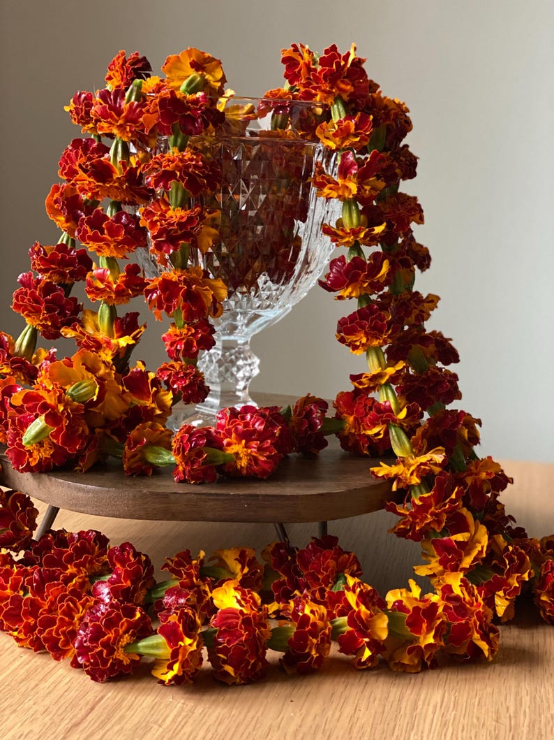 May include: A clear, faceted glass pedestal vase draped with a long garland of vibrant orange and deep red marigold flowers. The floral garland hangs over the sides of the glass vessel, creating a layered display of warm-toned, ruffled blossoms.