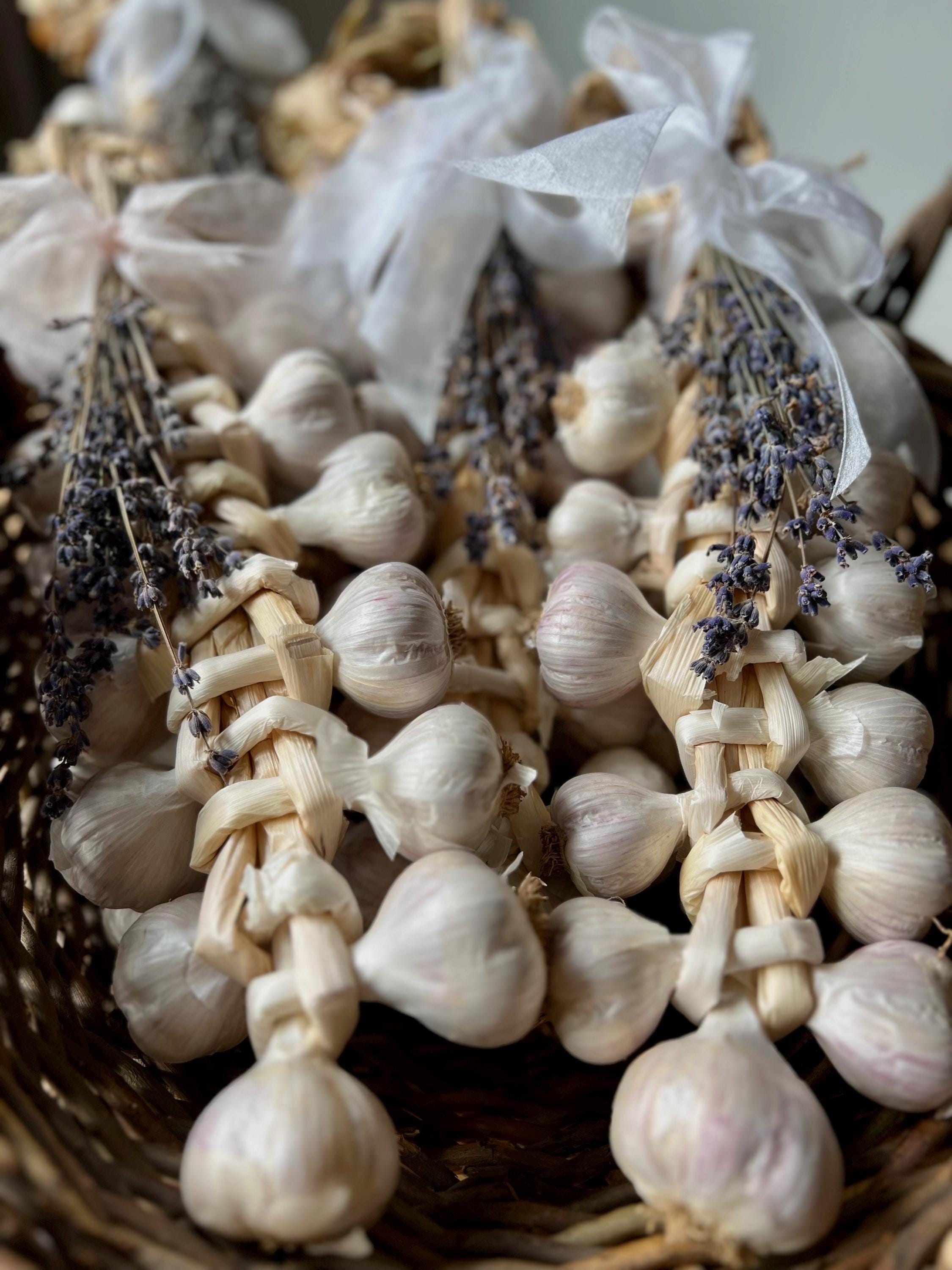 Organic Garlic Braid With Lavender | Farmhouse Kitchen Decor | Rustic ...