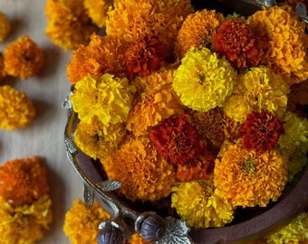 Luscious Fresh Marigold Garland – Made to Order!