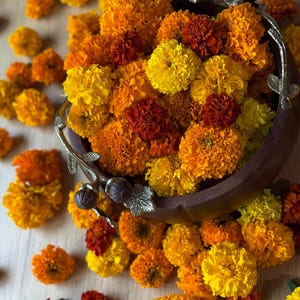 Real Dried Marigold Garland | 4ft Farm-Grown Wedding Decor, Boho Floral Dcor 3 garlands