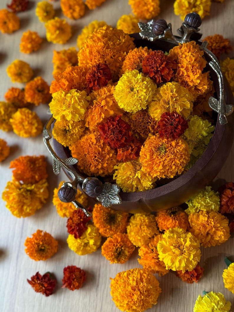Real Dried Marigold Garland | 4ft Farm-Grown Wedding Decor, Boho Floral Dcor 3 garlands