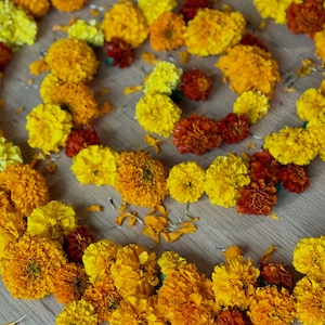 May include: A spiral arrangement of vibrant marigold flowers in shades of bright yellow, golden orange, and deep burnt red. The individual flower heads are densely packed with ruffled petals, creating a textured, circular pattern across the frame.