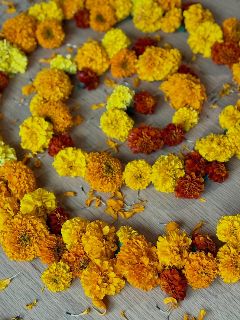 May include: A spiral arrangement of vibrant marigold flowers in shades of bright yellow, golden orange, and deep burnt red. The individual flower heads are densely packed with ruffled petals, creating a textured, circular pattern across the frame.