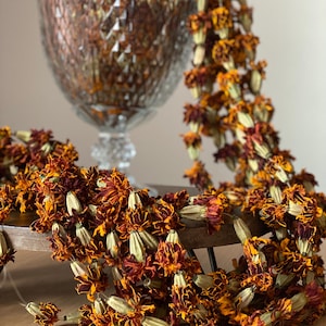 Dried Marigold garlands grown and made here on my farm in Washington.
