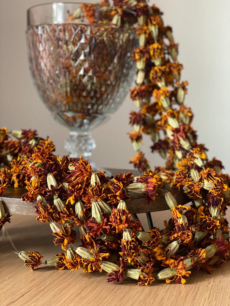 Dried Marigold garlands grown and made here on my farm in Washington.