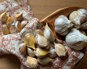 PREMIUM Elephant Garlic 5 lb – XL Bulbs – 2025 Harvest – Pacific Northwest Grown – Non-GMO – For Planting or Culinar