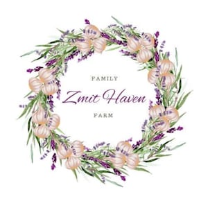 May include: A circular wreath illustration featuring watercolor garlic bulbs and purple lavender sprigs. The center contains the text FAMILY Zmit Haven FARM in a dark purple serif font, surrounded by green leaves and floral elements.