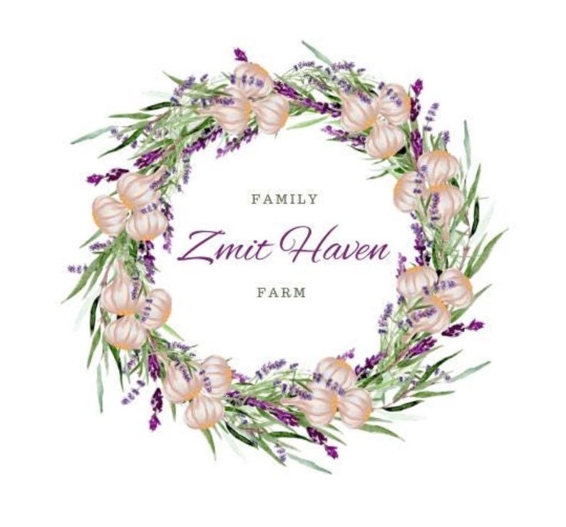 May include: A circular wreath illustration featuring watercolor garlic bulbs and purple lavender sprigs. The center contains the text FAMILY Zmit Haven FARM in a dark purple serif font, surrounded by green leaves and floral elements.