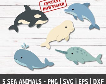 Ocean Animals PNG Ocean Animals Wall Art Ocean Animals SVG Dolphin svg Sea Animals Svg Sea Animals Clipart Cricut Layered Svg Whale Print