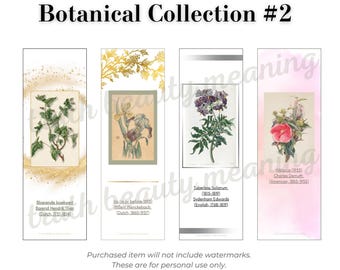 Puede incluir: Cuatro ilustraciones botánicas de flores, cada una con un fondo blanco y una lavada de acuarela dorada o rosa. Las ilustraciones están etiquetadas con el nombre de la flor y el nombre del artista, así como las fechas. El texto "Botanical Collection #2" está en la parte superior de la imagen.