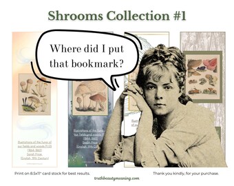 Puede incluir: Una colección imprimible de ilustraciones de setas con el texto "Shrooms Collection #1" y "¿Dónde puse ese marcapáginas?" Las ilustraciones son en blanco y negro y presentan varios tipos de setas.