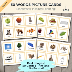 50 Words Picture Cards | Montessori-inspired | Printable Vocabulary Builder | Homeschool | Back to School