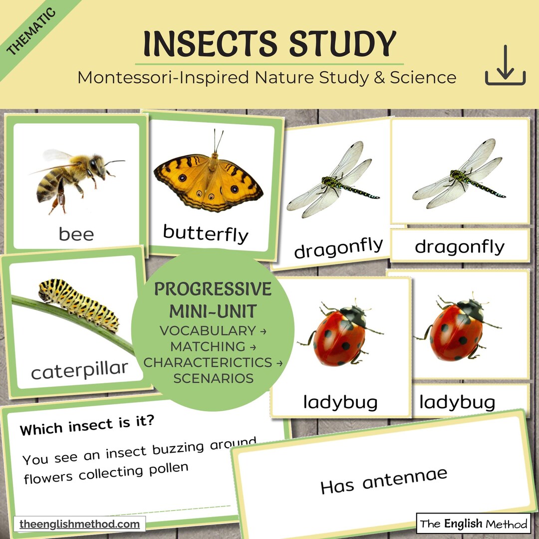 Insect Study Block Area Insects Study Pack | Montessori Nature Learning | Preschool ...