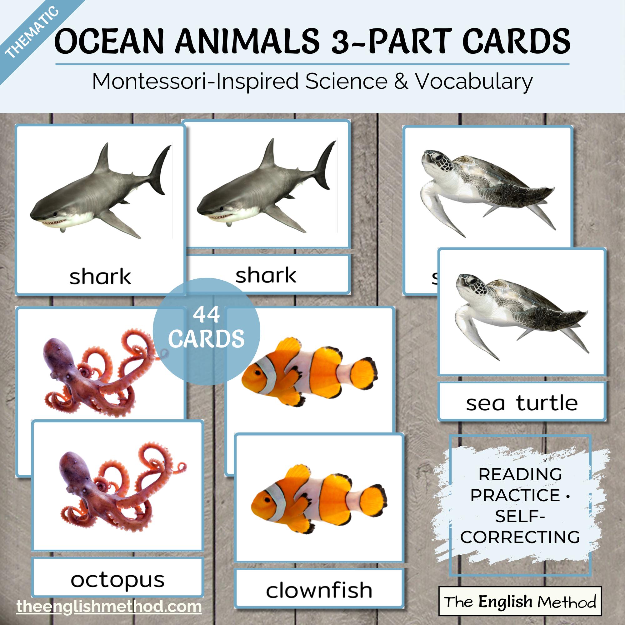 Ocean Animals 3-part Cards | Montessori Language | Real Photos ...