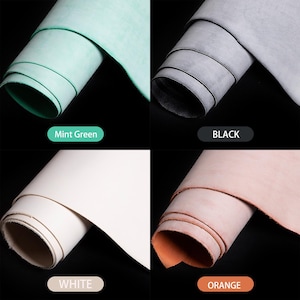 May include: Four rolls of leather in mint green, black, white, and orange. Each roll is tightly wound, showcasing the material's texture and colour variations. The labels below each roll read "Mint Green", "BLACK", "WHITE", and "ORANGE".